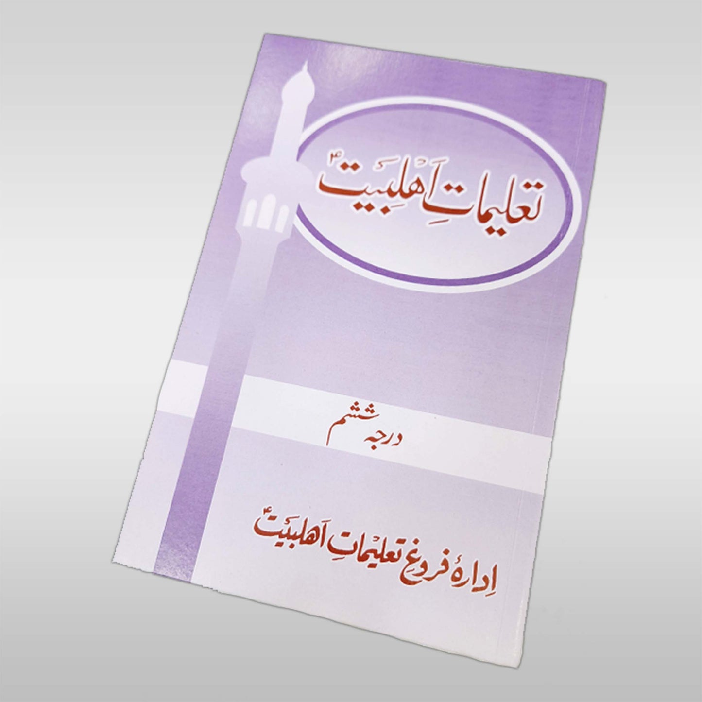 Talimaat e Ahlebait Dinyaat Books Set