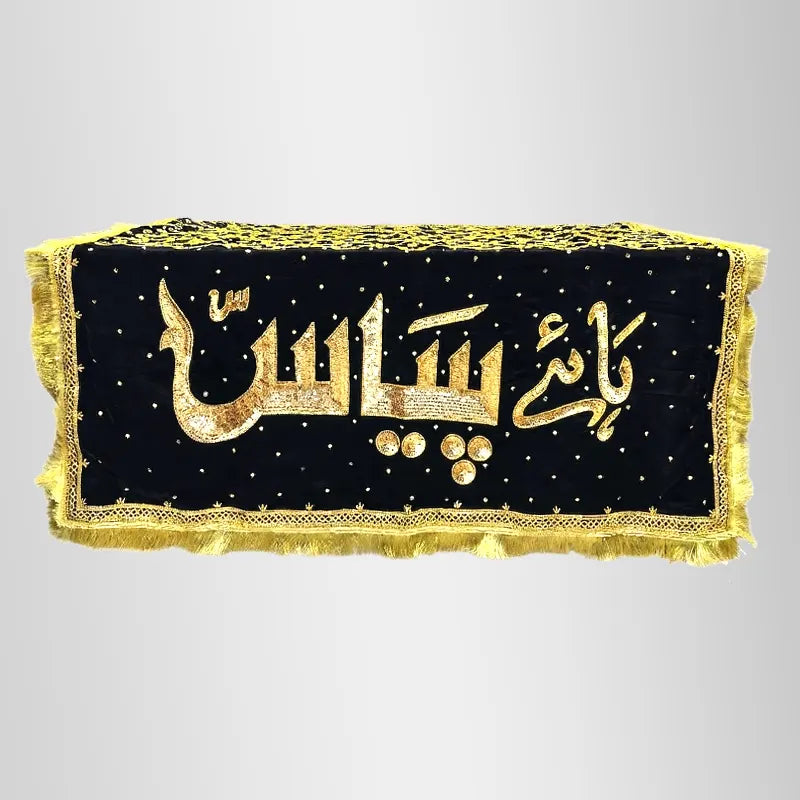 Haye Piyas Bibi Sakina (sa) Taboot Chaddar