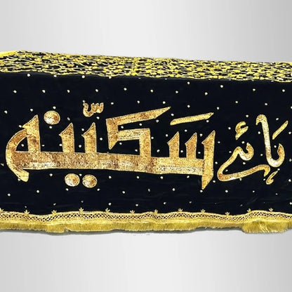 Bibi Sakina (sa) Taboot Chaddar