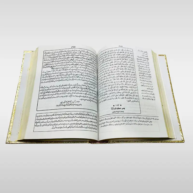 Nahjul Balagah Urdu Translation Book of Imam Ali (as)